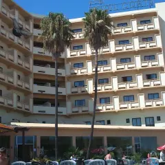 Paloma vuela frente al Hotel Royal Costa, un edificio de varios pisos con balcones y palmeras.