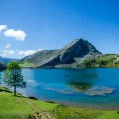 Horarios y precios del autobús a los Lagos de Covadonga para tu visita