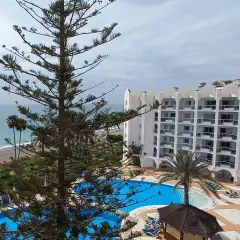 Vista de un hotel con piscina y playa, con palmeras y un pino en primer plano. Un día nublado en las **marinas de Nerja**.