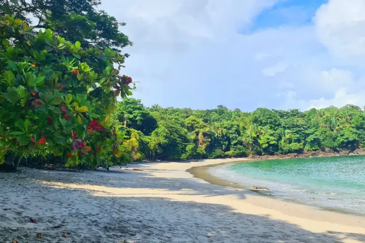 Playa virgen en Manuel Antonio, Costa Rica, con arena blanca, vegetación exuberante y aguas turquesas.