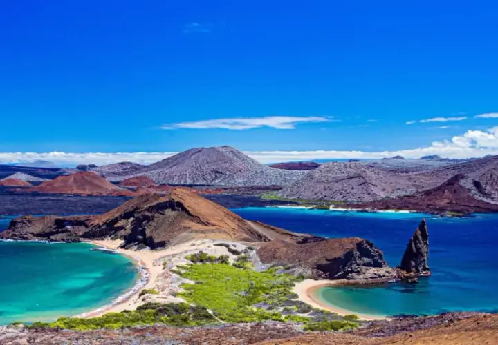 Santa Cruz Isla: Conoce las diferencias entre Galápagos y California