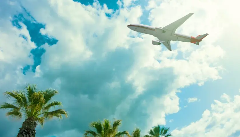 Avión surcando el cielo azul con nubes, palmeras abajo. ¡Listos para vuelos a Zanzibar!