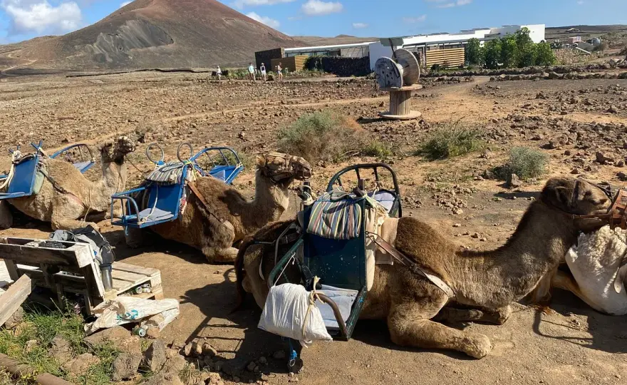 Qué ver en Lajares, Fuerteventura y por qué merece la pena