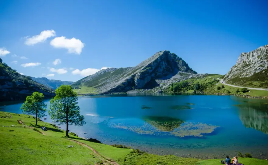 Horarios y precios del autobús a los Lagos de Covadonga para tu visita