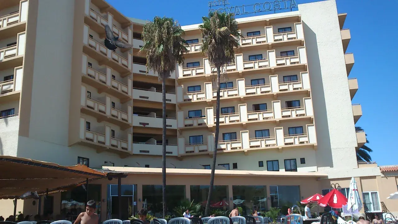 Paloma vuela frente al Hotel Royal Costa, un edificio de varios pisos con balcones y palmeras.