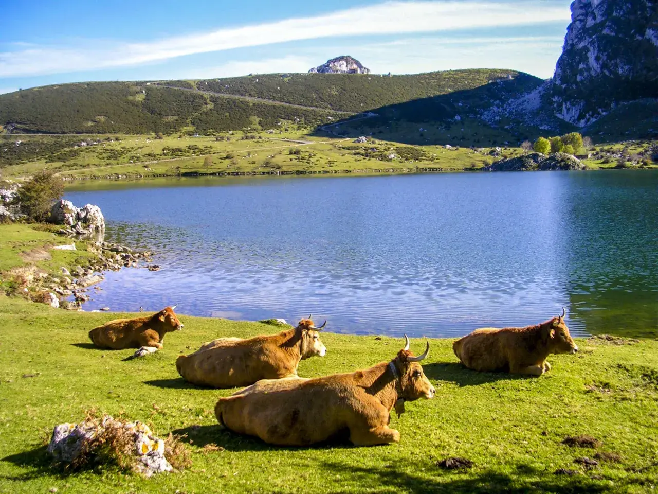 Subida a los Lagos de Covadonga: ruta desafiante y opciones de transporte