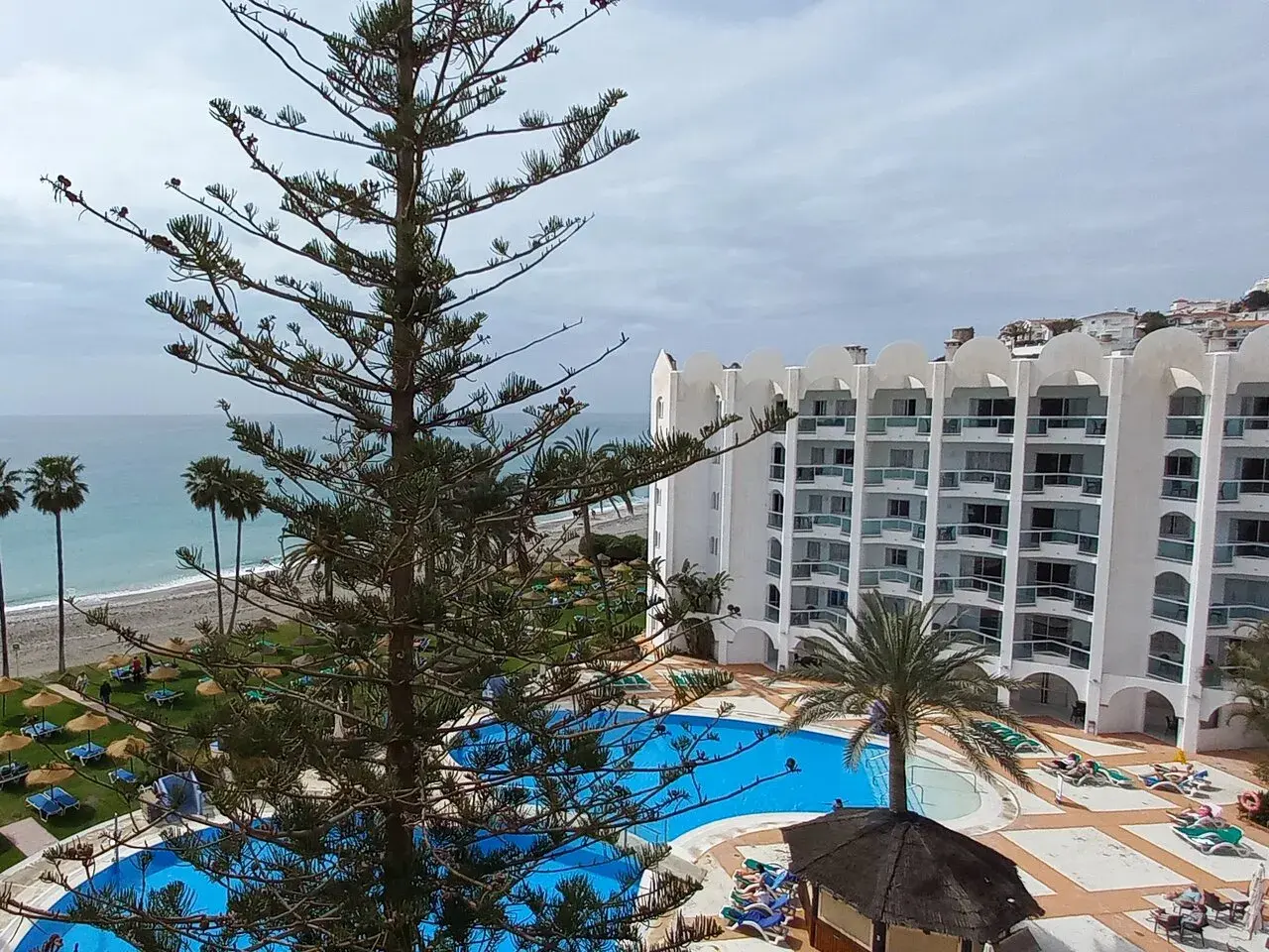 Vista de un hotel con piscina y playa, con palmeras y un pino en primer plano. Un día nublado en las **marinas de Nerja**.
