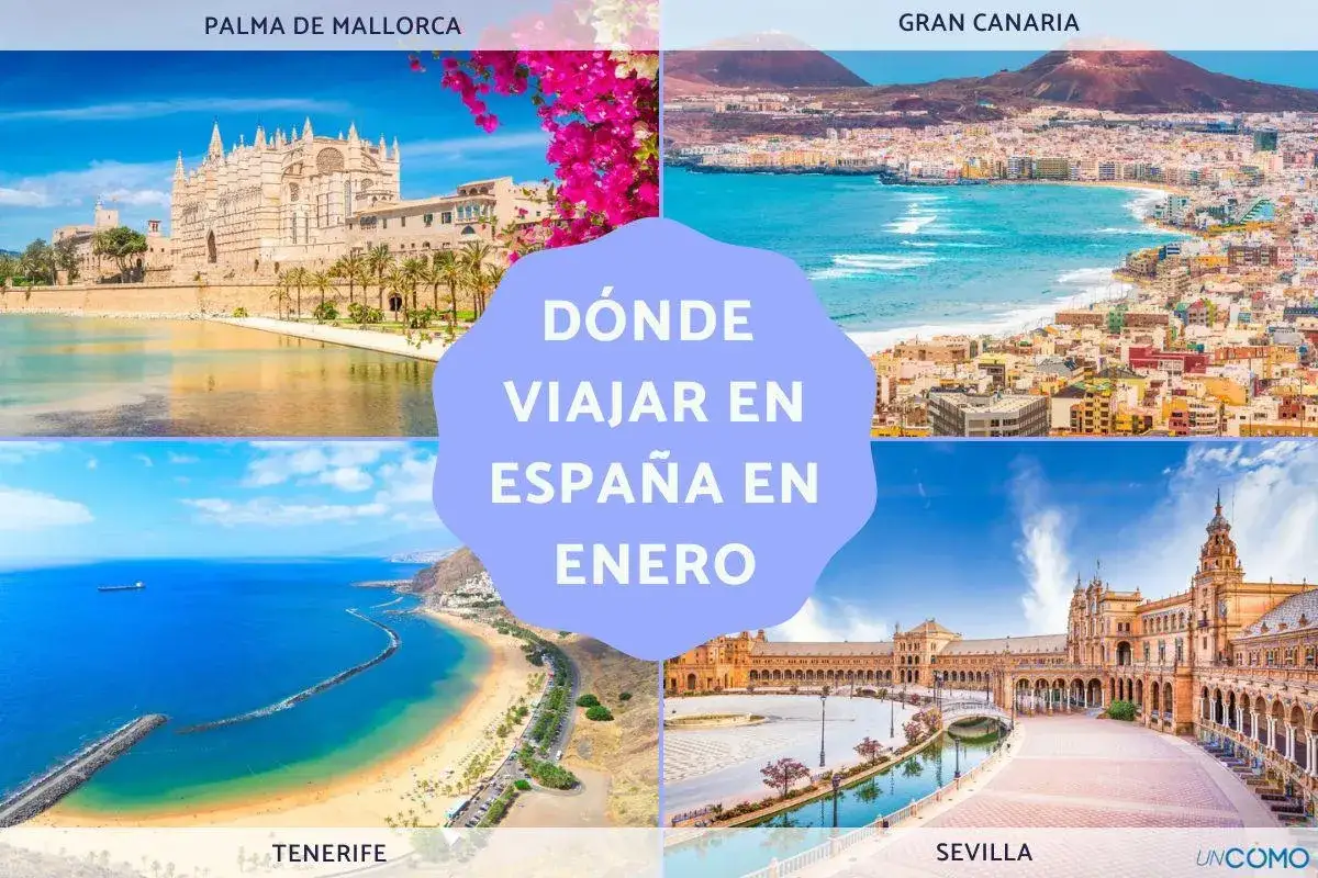 Ideas para saber dónde viajar en enero: Palma de Mallorca, Gran Canaria, Tenerife y Sevilla.