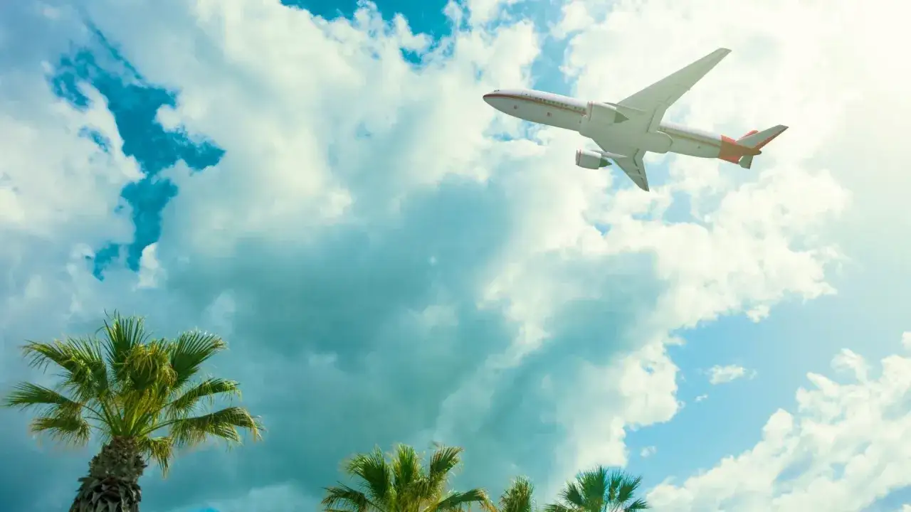 Avión surcando el cielo azul con nubes, palmeras abajo. ¡Listos para tus vuelos a Zanzibar!