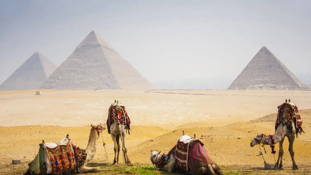 Camellos descansando frente a las pirámides de Giza, un sueño hecho realidad en este viaje a Egipto.