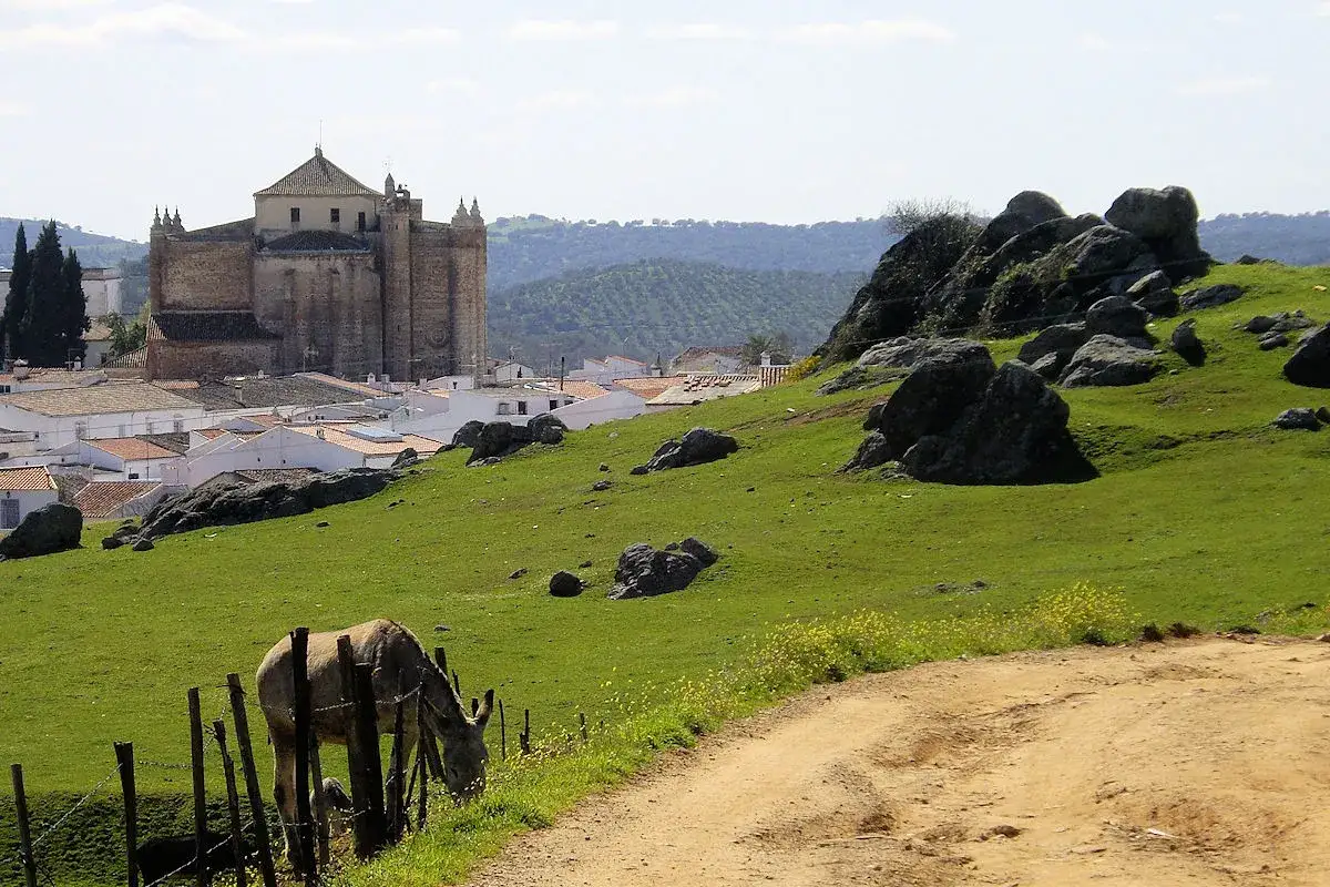 Un burro pasta en un prado verde con rocas y la iglesia de Cazalla de la Sierra al fondo.